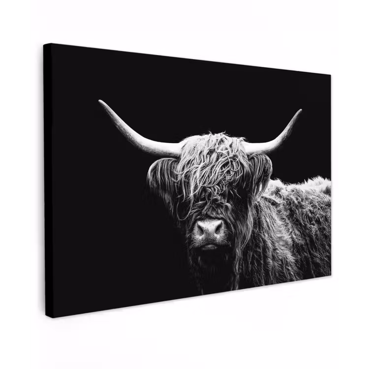 Schotse Hooglander - Koe - Zwart - Wit - Dieren canvas 2cm klein -z3d