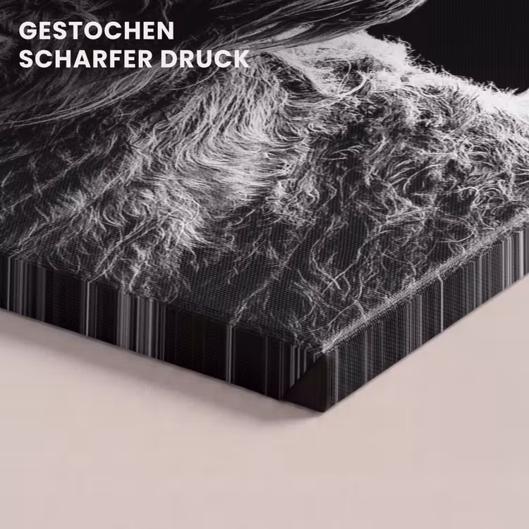 Schotse Hooglander - Koe - Zwart - Wit - Dieren canvas 2cm klein -Xsfeer8_DE