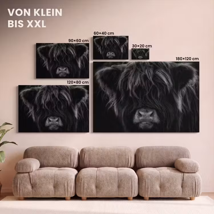 Schotse hooglander - Koe - Zwart - Wit - Dieren canvas 2cm klein -Xsfeer8_DE