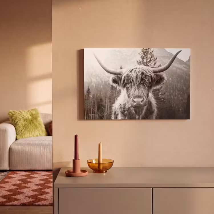 Schotse hooglander - Koe - Dieren - Zwart - Wit canvas 2cm klein -sfeer1