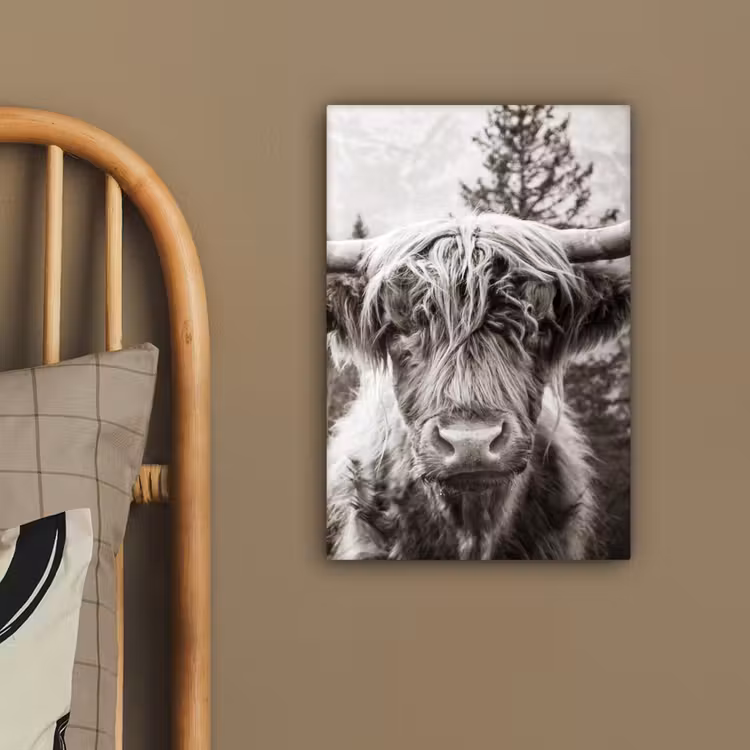 Schotse hooglander - Koe - Dieren - Zwart - Wit canvas 2cm klein -closeup_print_DE
