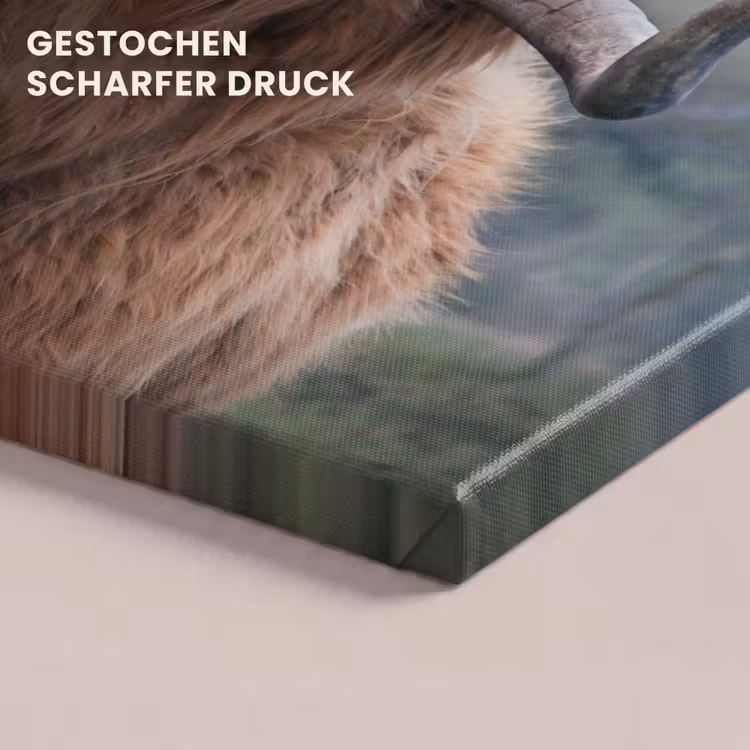 Schotse Hooglander - Koeienkop - Landschap - Natuur - Koe canvas 2cm klein -closeup_print_DE