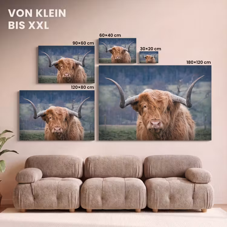 Schotse Hooglander - Koeienkop - Landschap - Natuur - Koe canvas 2cm klein -Xsfeer8_DE