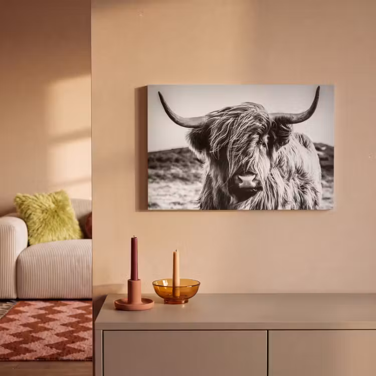 Schotse hooglander - Natuur - Koe - Zwart - Wit canvas 2cm klein -sfeer1
