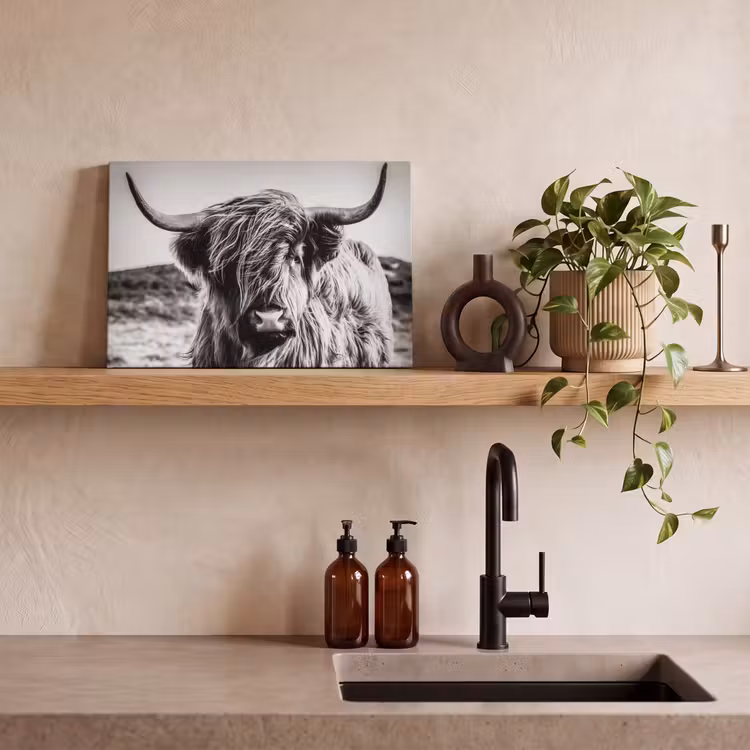 Schotse hooglander - Natuur - Koe - Zwart - Wit canvas 2cm klein -sfeer3