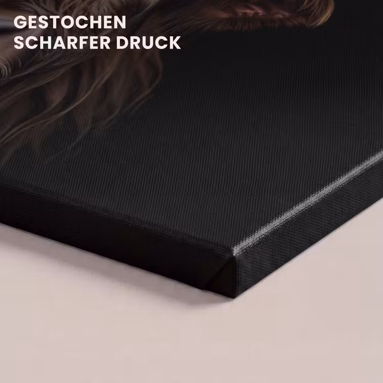 Schotse hooglander - Portret - Zwart - Dier canvas 2cm klein -uniquesellingpoint_afwerking-onlywow_DE