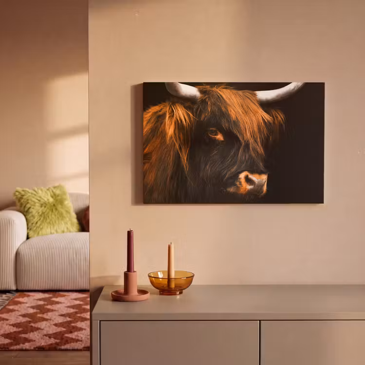 Schotse hooglander - Zwart - Koe - Hoorn - Dieren canvas 2cm klein -sfeer1