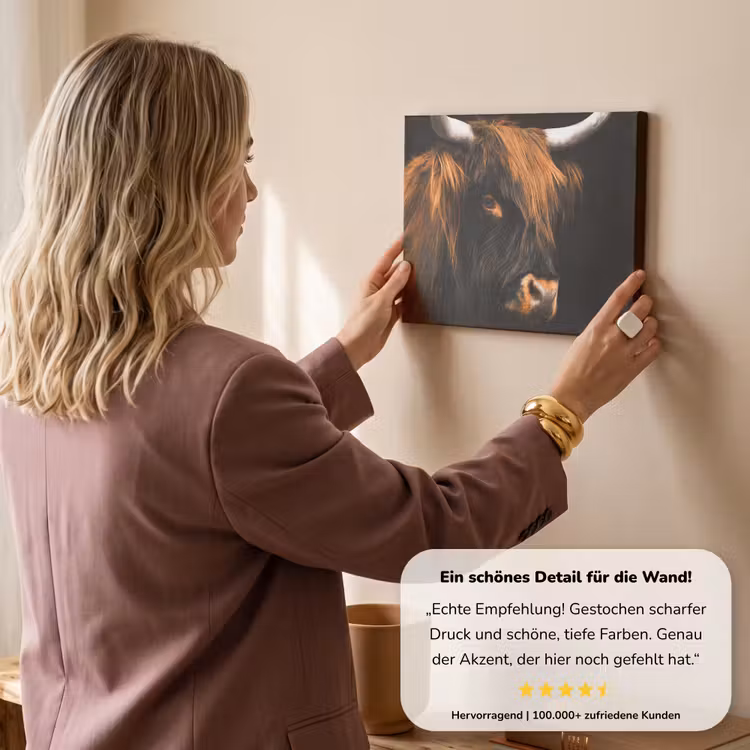 Schotse hooglander - Zwart - Koe - Hoorn - Dieren canvas 2cm klein -Xsfeer7_DE