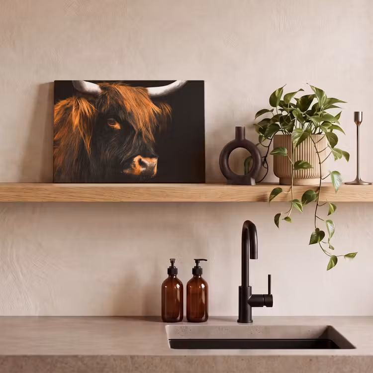Schotse hooglander - Zwart - Koe - Hoorn - Dieren canvas 2cm klein -sfeer3