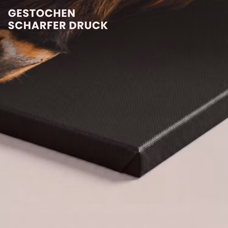 Schotse hooglander - Zwart - Koe - Hoorn - Dieren canvas 2cm klein -closeup_print_DE