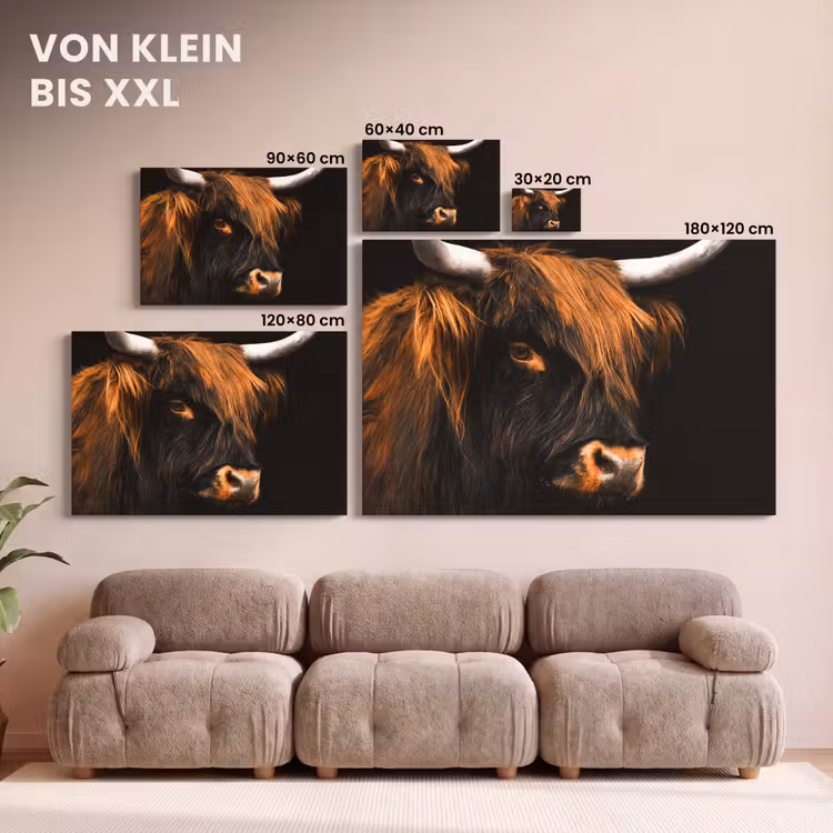 Schotse hooglander - Zwart - Koe - Hoorn - Dieren canvas 2cm klein -Xsfeer8_DE
