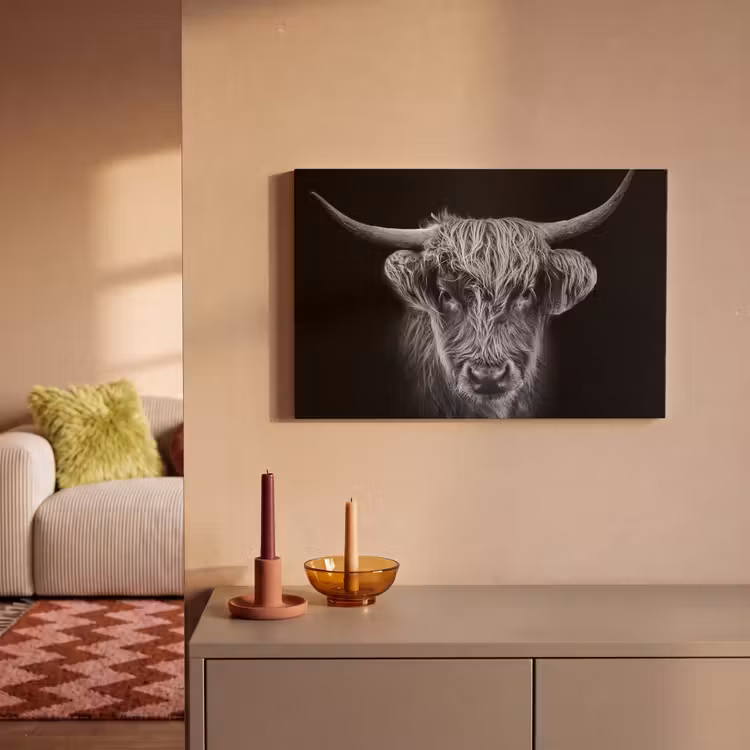 Schotse hooglander - Zwart - Koe - Dieren canvas 2cm klein -sfeer1