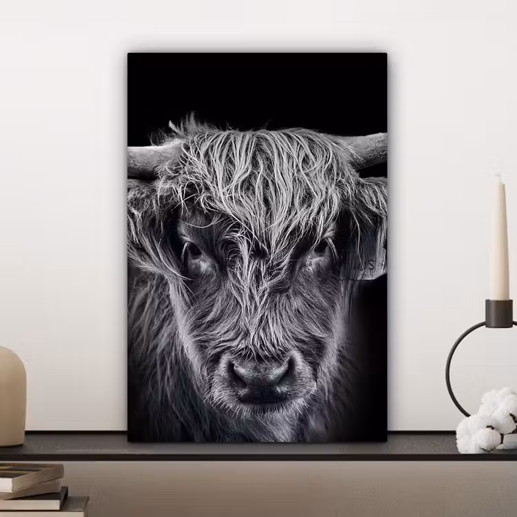 Schotse hooglander - Zwart - Koe - Dieren canvas 2cm klein -closeup_print_DE
