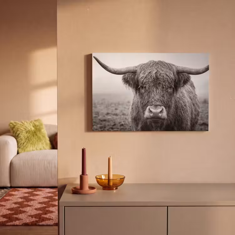 Schotse hooglander - Zwart - Wit - Gras canvas 2cm klein -sfeer1