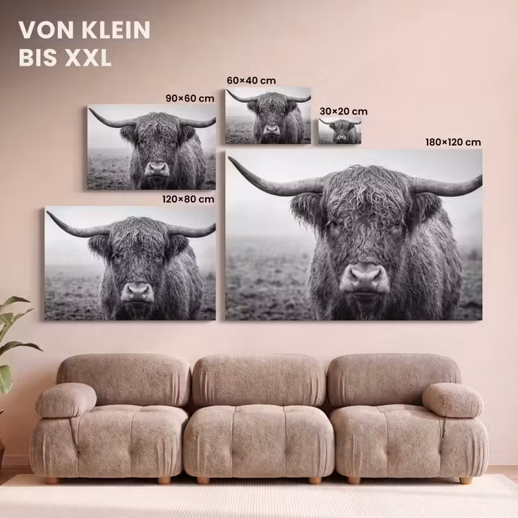 Schotse hooglander - Zwart - Wit - Gras canvas 2cm klein -Xsfeer8_DE