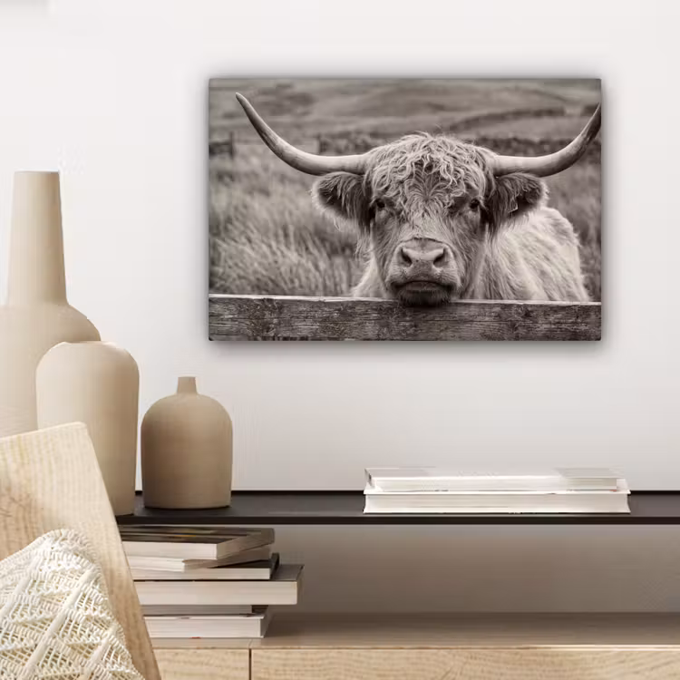 Schotse hooglander - Zwart - Wit - Hout canvas 2cm klein -closeup_print_DE