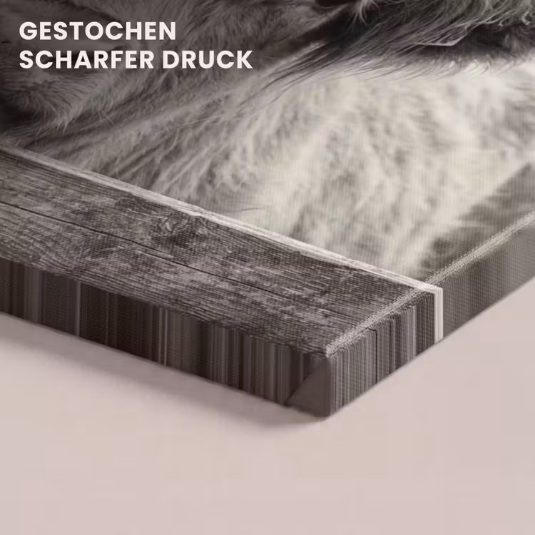 Schotse hooglander - Zwart - Wit - Hout canvas 2cm klein -uniquesellingpoint_afwerking-onlywow_DE