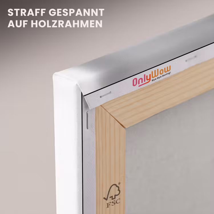 Schotse Hooglander - Spaghetti - Dieren - Zwart wit canvas 2cm klein -uniquesellingpoint_afwerking-onlywow_DE