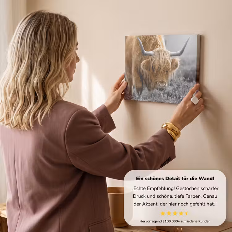 Schotse Hooglander - Dieren - Bruin - Koe - Zwart - Wit - Natuur canvas 2cm klein -Xsfeer7_DE