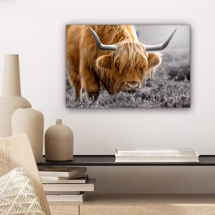 Schotse Hooglander - Dieren - Bruin - Koe - Zwart - Wit - Natuur canvas 2cm klein -sfeer6