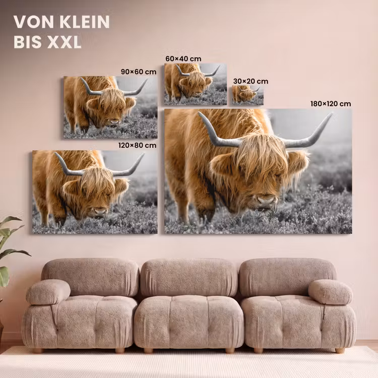 Schotse Hooglander - Dieren - Bruin - Koe - Zwart - Wit - Natuur canvas 2cm klein -Xsfeer8_DE