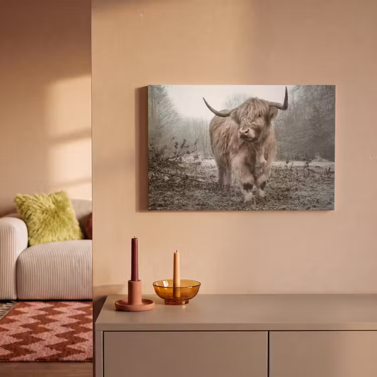Schotse Hooglander - Bos - Mist - Koe - Dieren - Natuur canvas 2cm klein -sfeer1