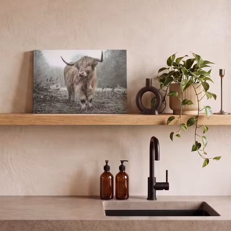 Schotse Hooglander - Bos - Mist - Koe - Dieren - Natuur canvas 2cm klein -sfeer3
