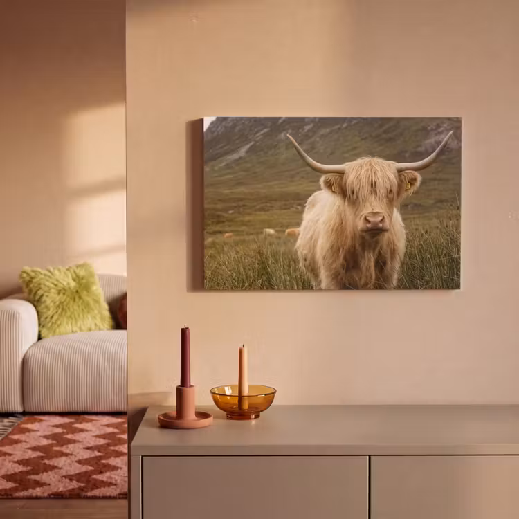 Schotse hooglander - Bergen - Grasveld canvas 2cm klein -sfeer1