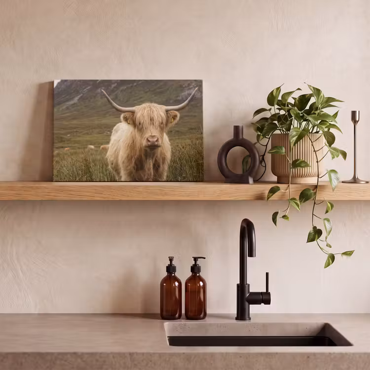 Schotse hooglander - Bergen - Grasveld canvas 2cm klein -closeup_print_DE