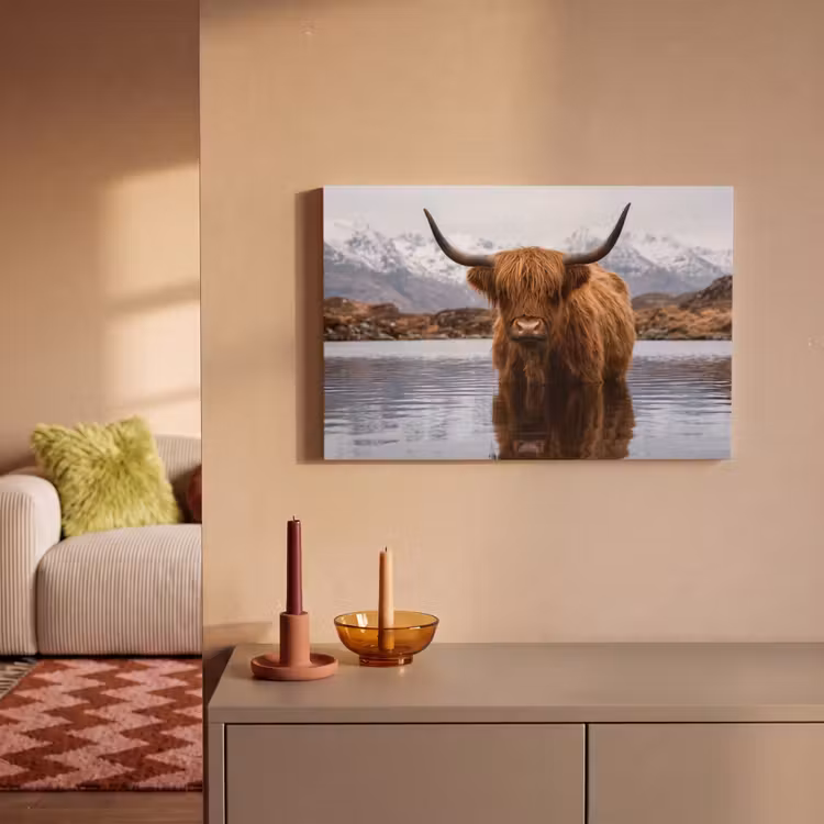 Schotse hooglander - Bruin - Water canvas 2cm klein -sfeer1