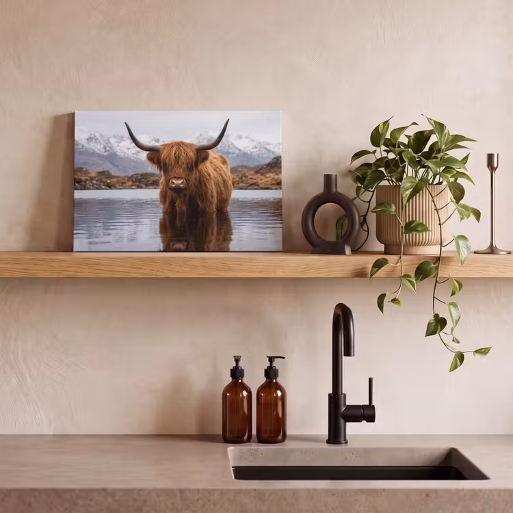 Schotse hooglander - Bruin - Water canvas 2cm klein -sfeer6