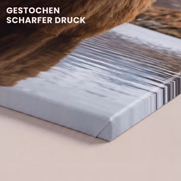 Schotse hooglander - Bruin - Water canvas 2cm klein -uniquesellingpoint_afwerking-onlywow_DE