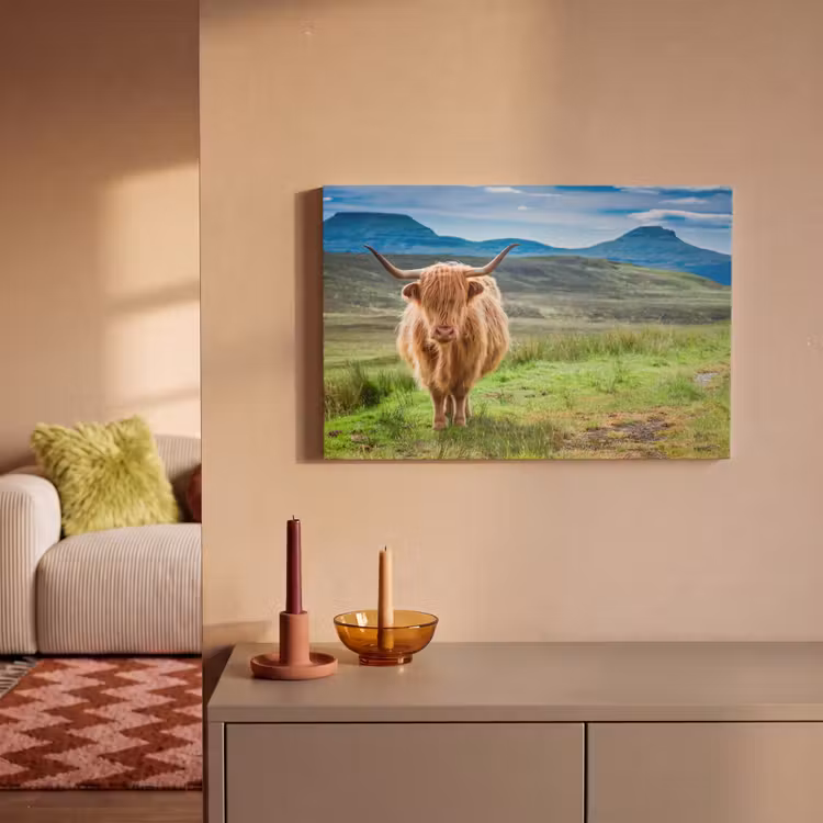 Schotse hooglander - Koe - Natuur - Berg - Gras canvas 2cm klein -sfeer1