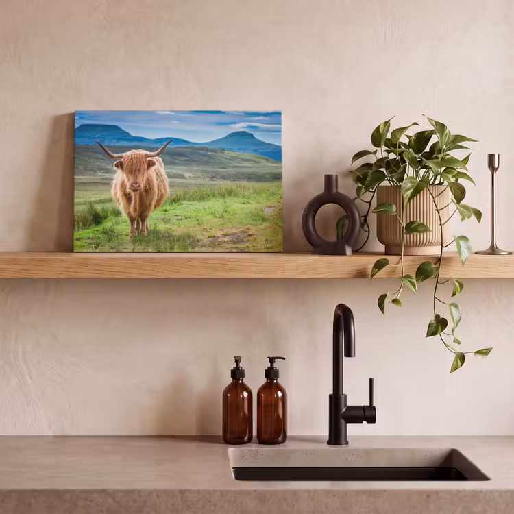 Schotse hooglander - Koe - Natuur - Berg - Gras canvas 2cm klein -sfeer3