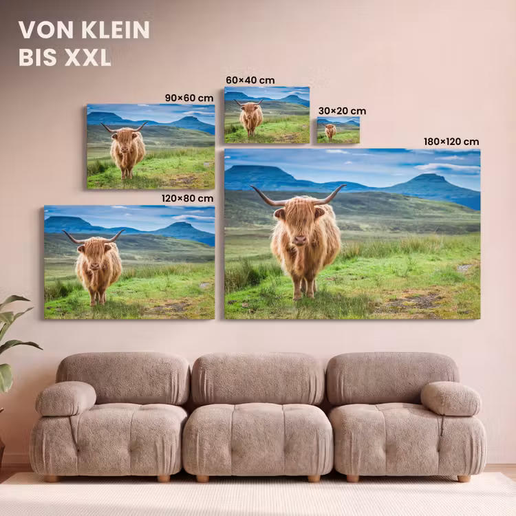 Schotse hooglander - Koe - Natuur - Berg - Gras canvas 2cm klein -Xsfeer8_DE