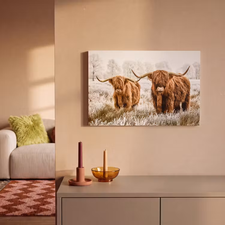Schotse hooglander - Koe - Natuur - Winter canvas 2cm klein -sfeer1