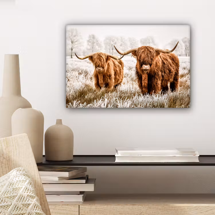 Schotse hooglander - Koe - Natuur - Winter canvas 2cm klein -sfeer6