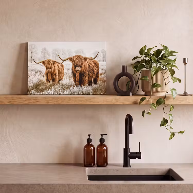 Schotse hooglander - Koe - Natuur - Winter canvas 2cm klein -sfeer3