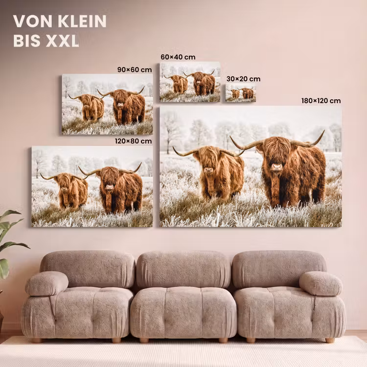 Schotse hooglander - Koe - Natuur - Winter canvas 2cm klein -Xsfeer8_DE