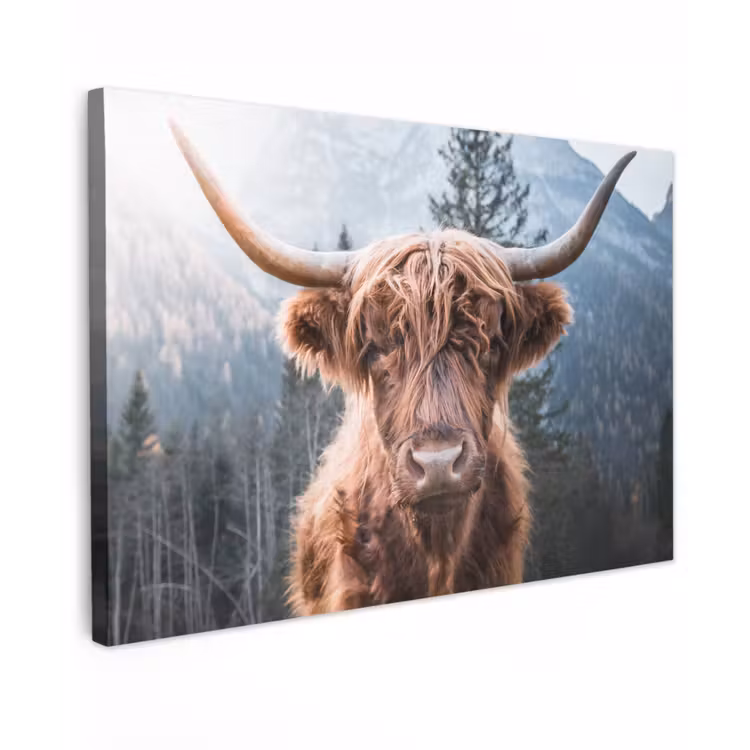 Schotse hooglander - Koe - Dieren - Berg - Natuur canvas 2cm klein -z3d
