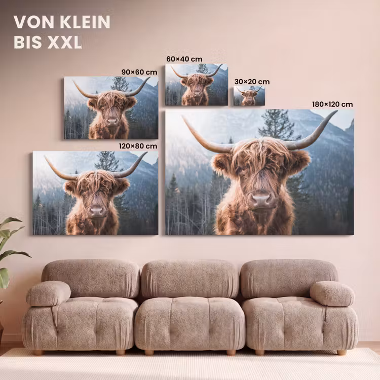 Schotse hooglander - Koe - Dieren - Berg - Natuur canvas 2cm klein -Xsfeer8_DE