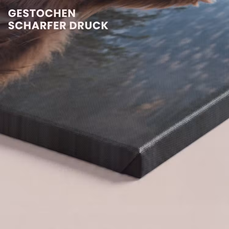 Schotse hooglander - Koe - Dieren - Berg - Natuur canvas 2cm klein -Xsfeer8_DE