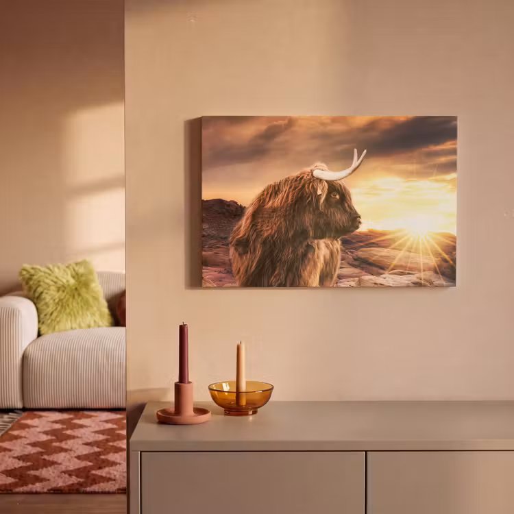 Schotse hooglander - Zon - Horizon - Koe - Dieren canvas 2cm klein -sfeer1