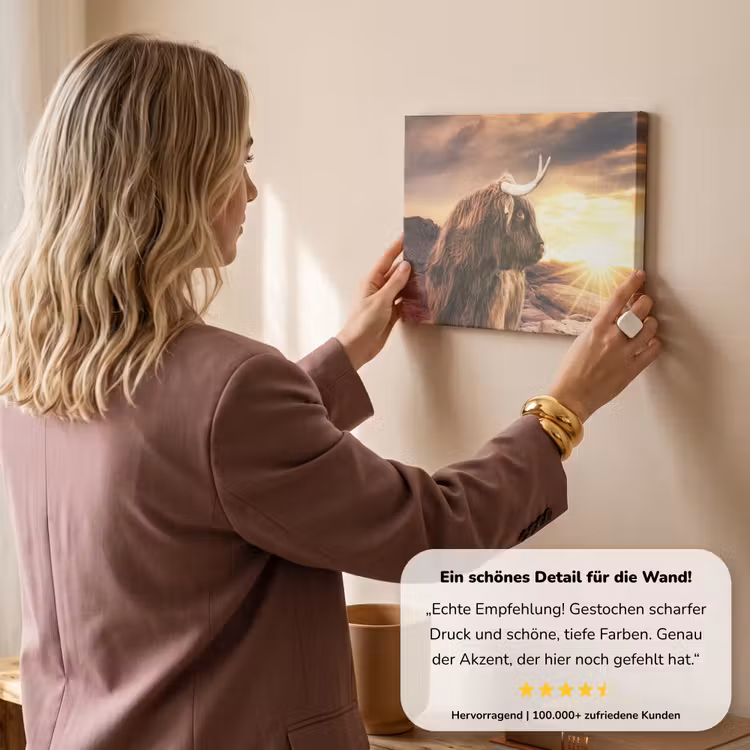 Schotse hooglander - Zon - Horizon - Koe - Dieren canvas 2cm klein -sfeer3