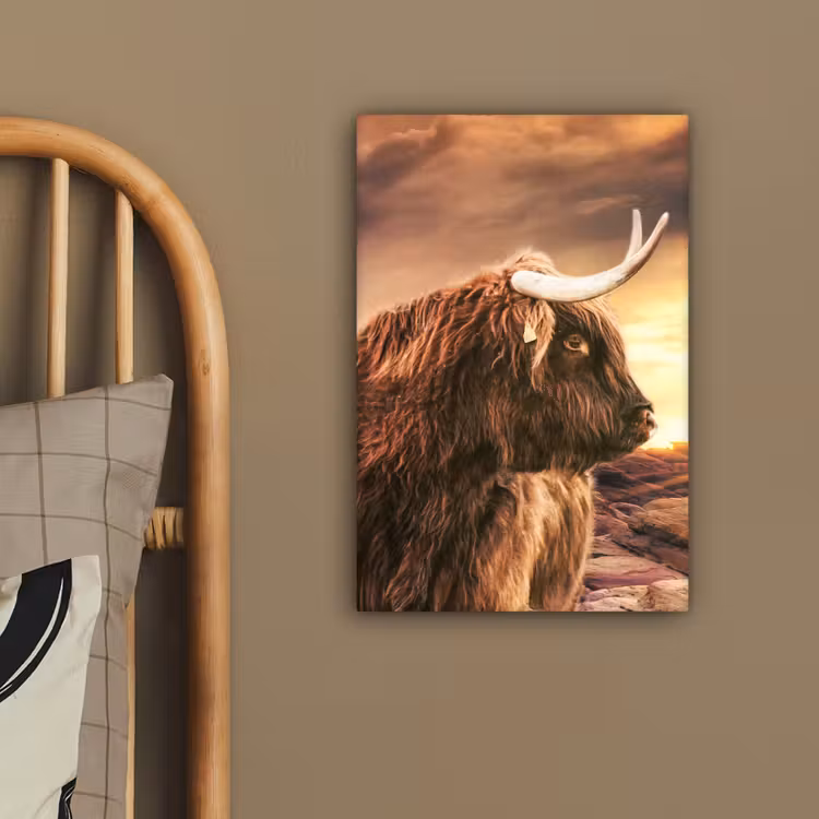 Schotse hooglander - Zon - Horizon - Koe - Dieren canvas 2cm klein -closeup_print_DE