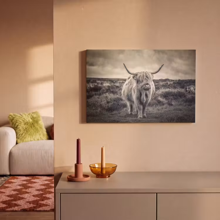 Schotse hooglander - Dieren - Wolken - Koe - Natuur canvas 2cm klein -sfeer1