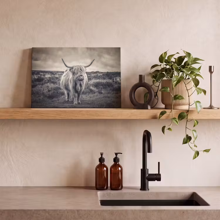 Schotse hooglander - Dieren - Wolken - Koe - Natuur canvas 2cm klein -sfeer3