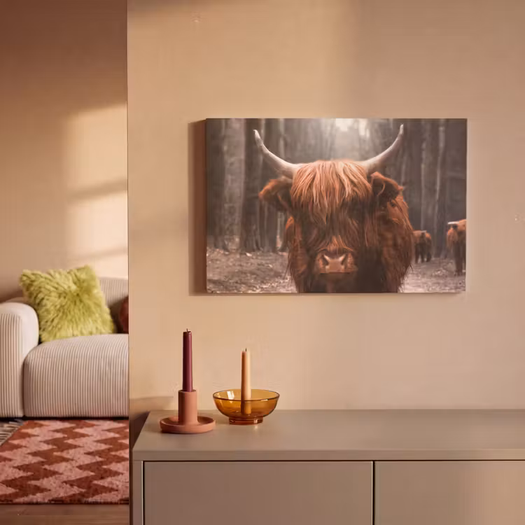 Schotse hooglander - Bos - Koe - Dieren - Natuur canvas 2cm klein -sfeer1