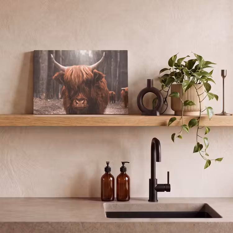 Schotse hooglander - Bos - Koe - Dieren - Natuur canvas 2cm klein -sfeer3