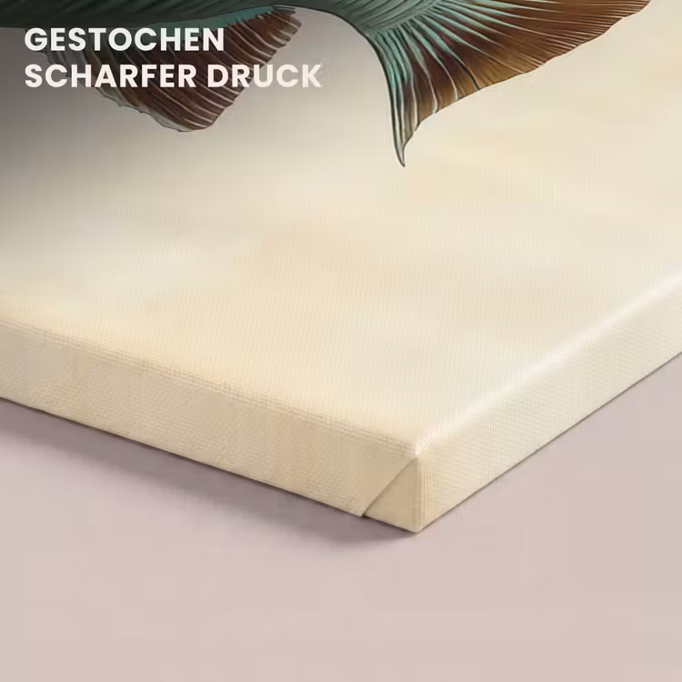 Schubben - Vis - Mint - Minimalistisch canvas 2cm klein -closeup_print_DE